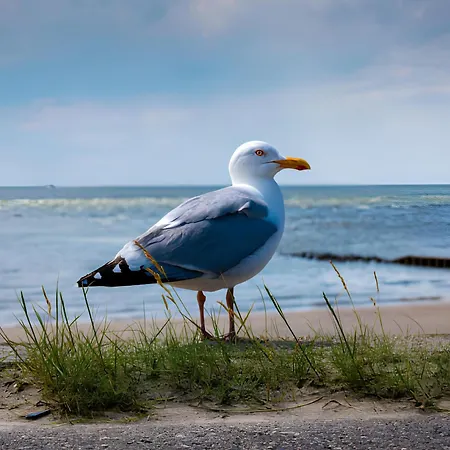 Zunftstuben Norderney